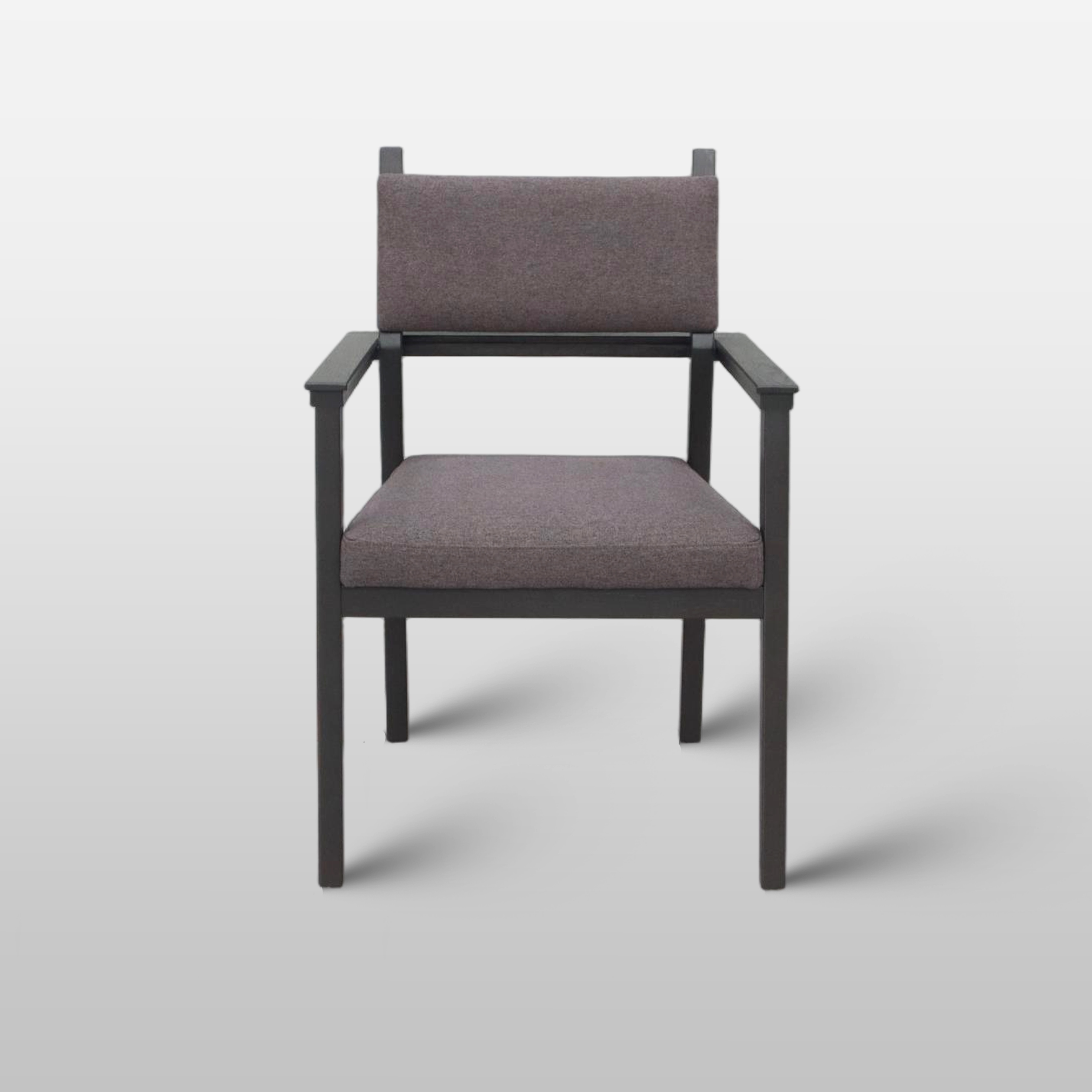 Modern Minimalist Leisure Chair