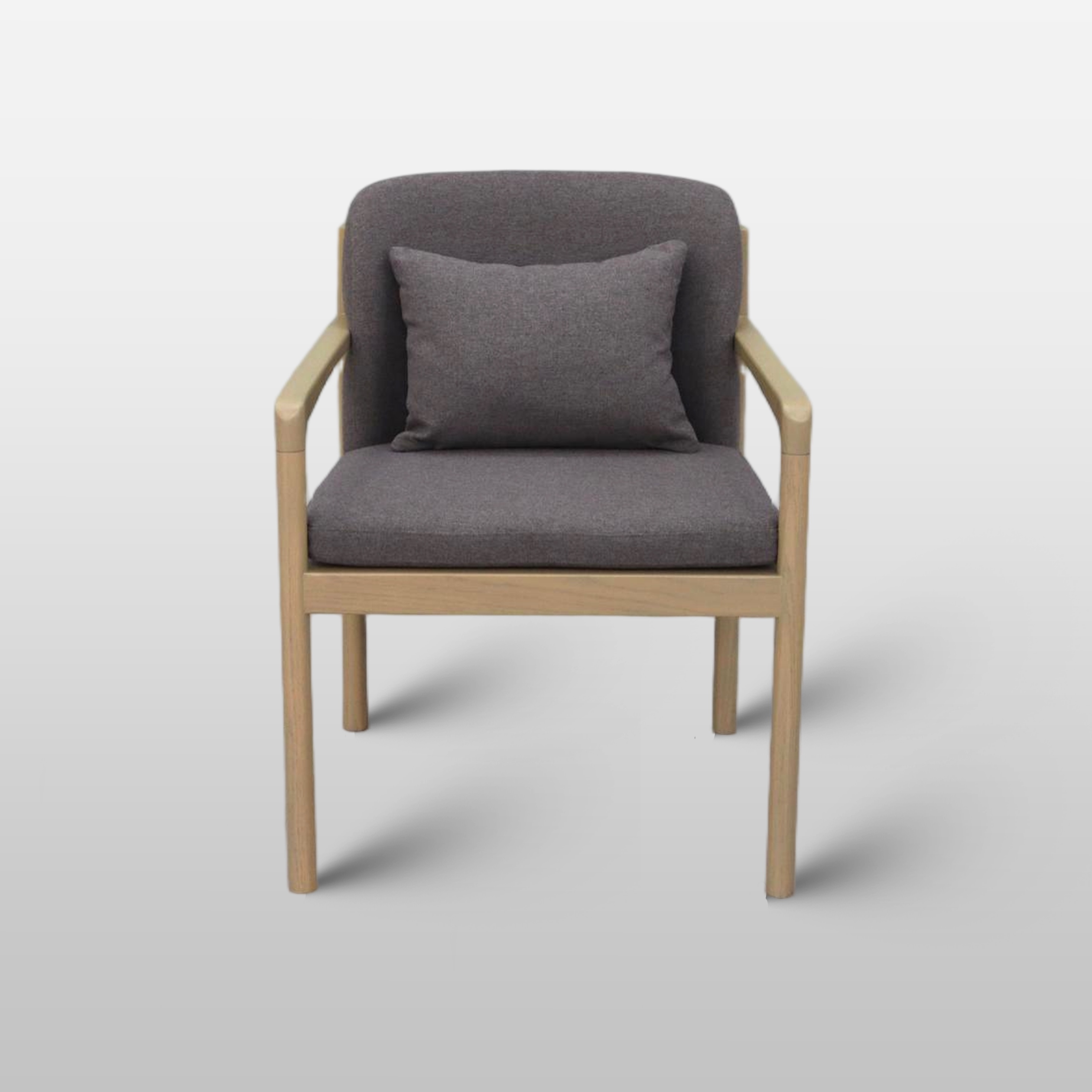 Minimalist Modern Lounge Sofa