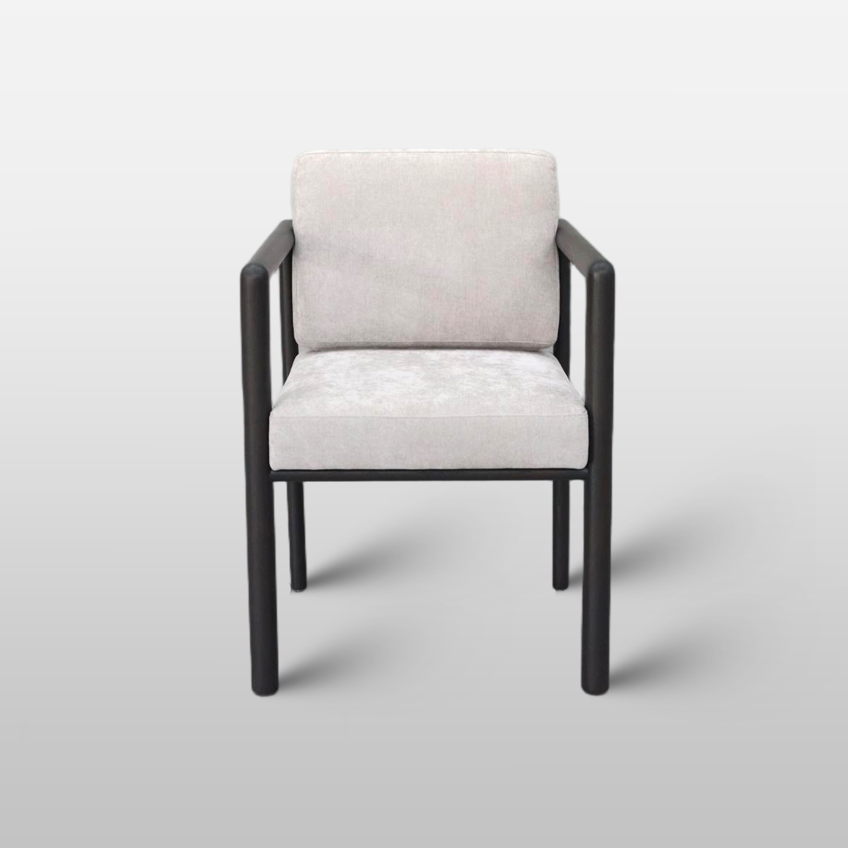 Minimalist Modern Lounge Chair