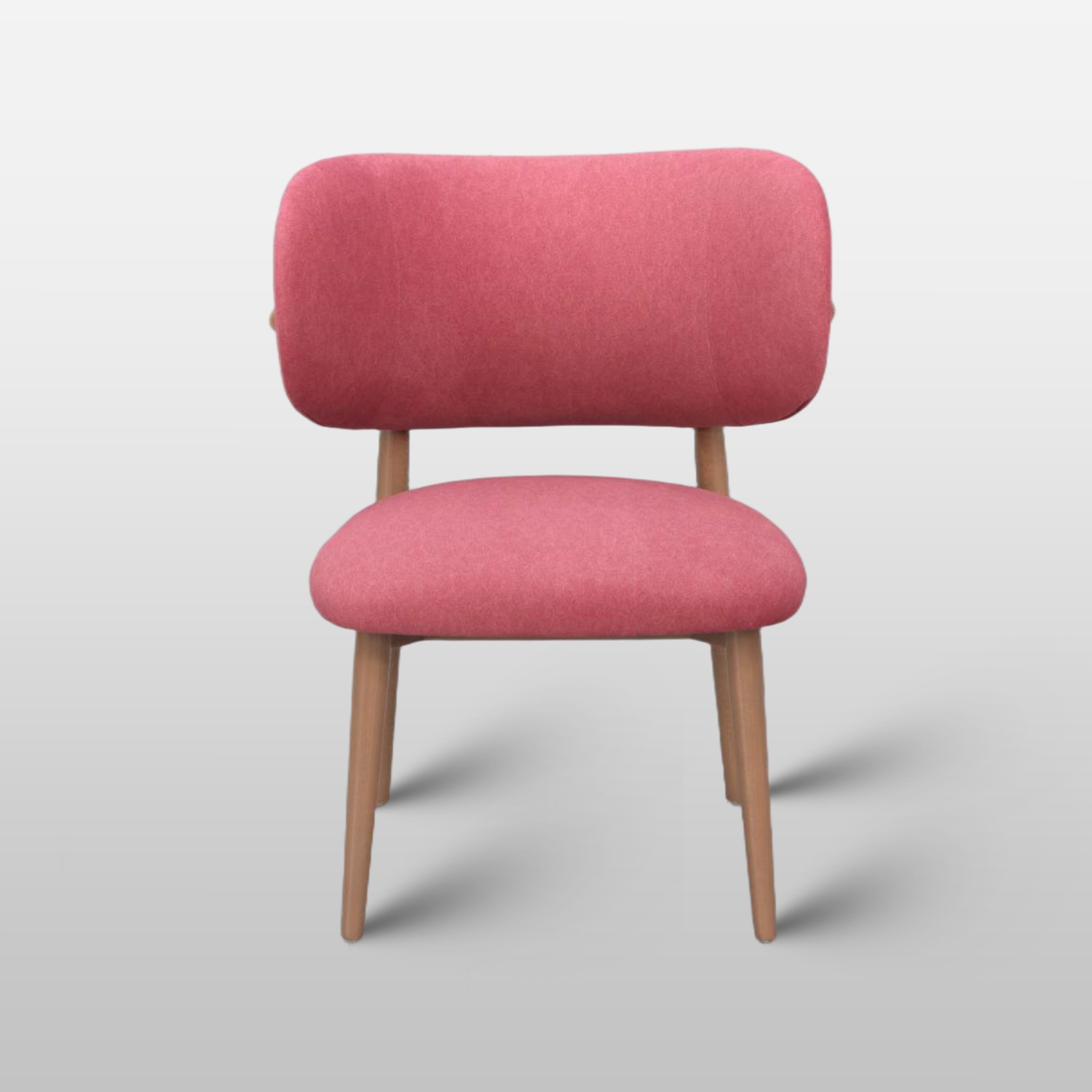 Modern Minimalist Dining Chair