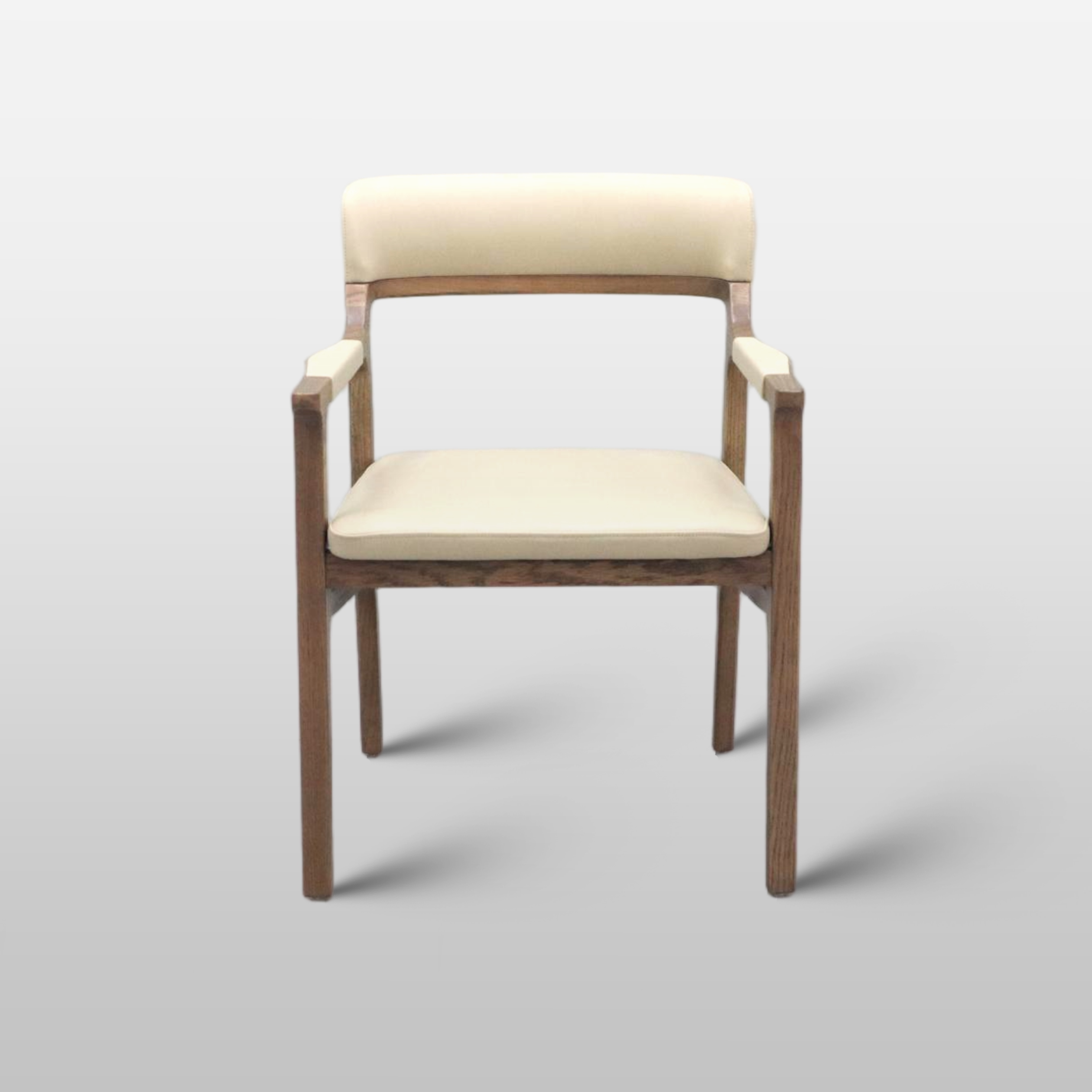 Nordic-style Modern Lounge Chair