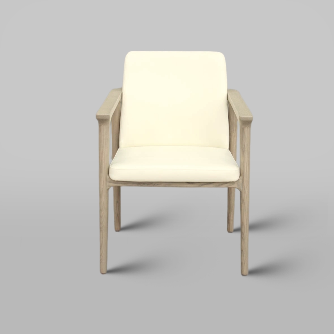 Modern Minimalist Dining Chair