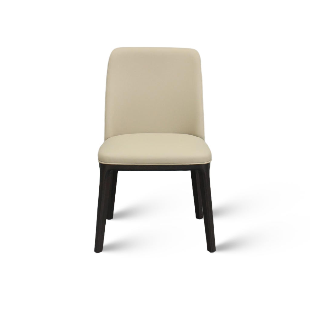 Modern Minimalist Dining Chair