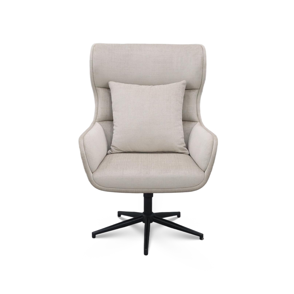 Modern Minimalist Swivel Chair