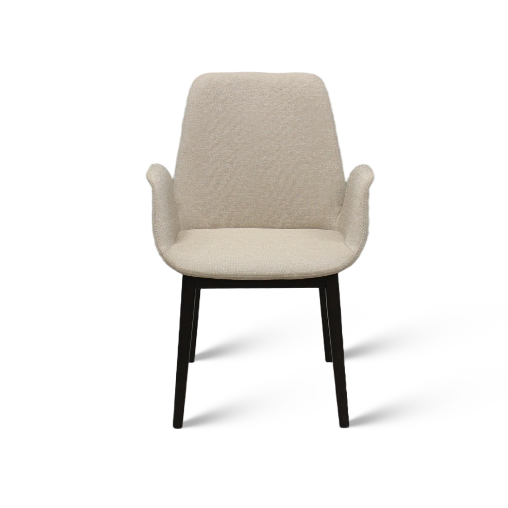 Modern minimalist leisure chair