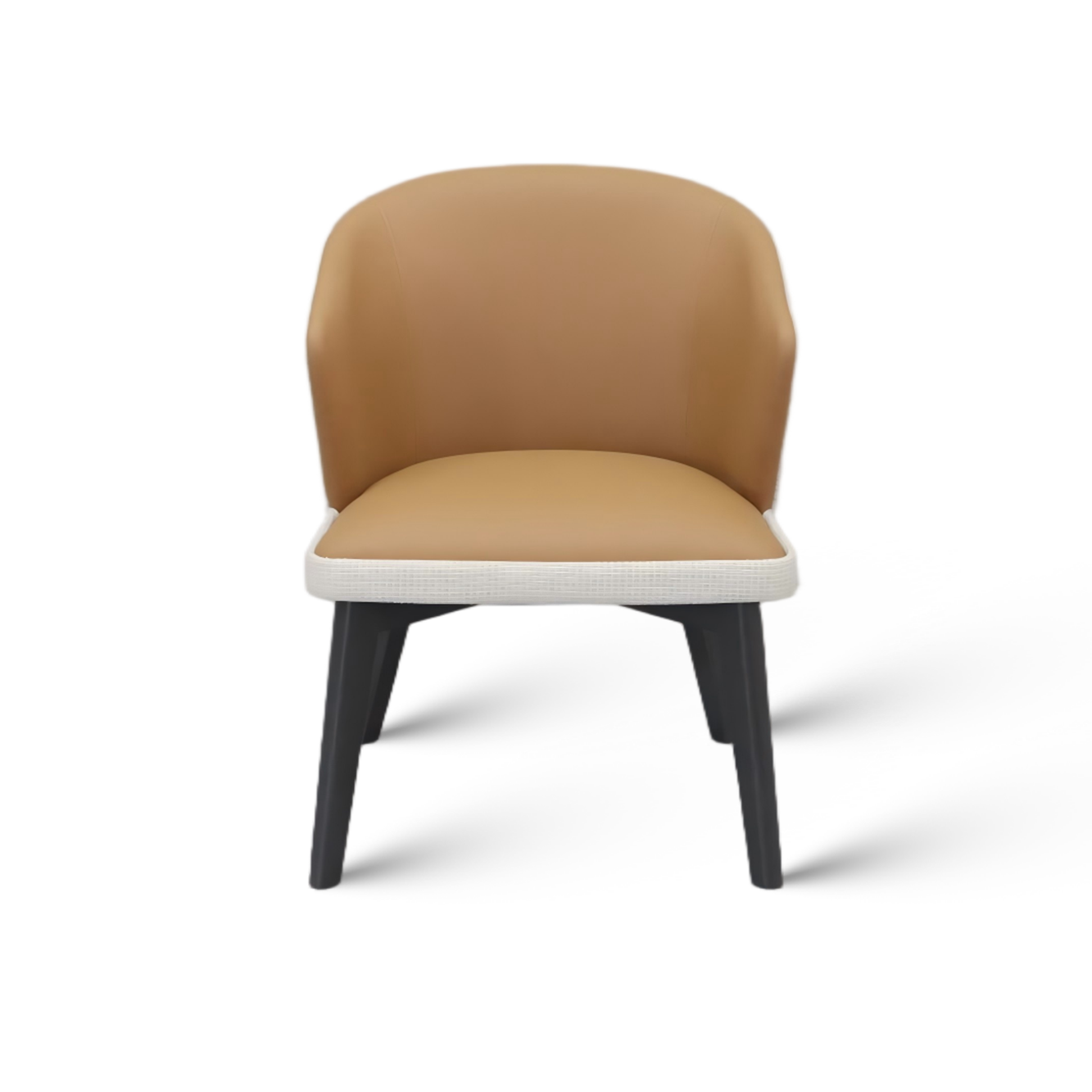 Italian-Style Light Luxury Minimalist Chair