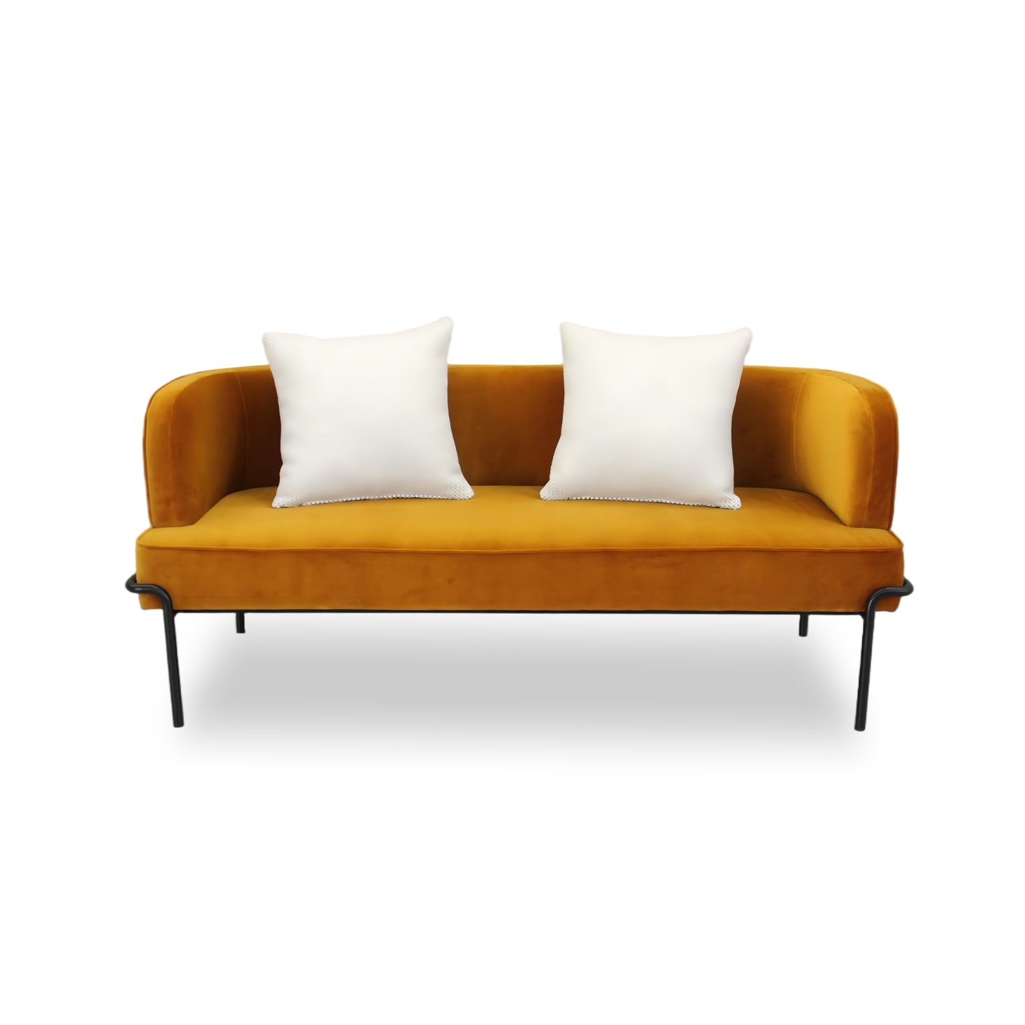 Minimalist Retro Two-seater Sofa