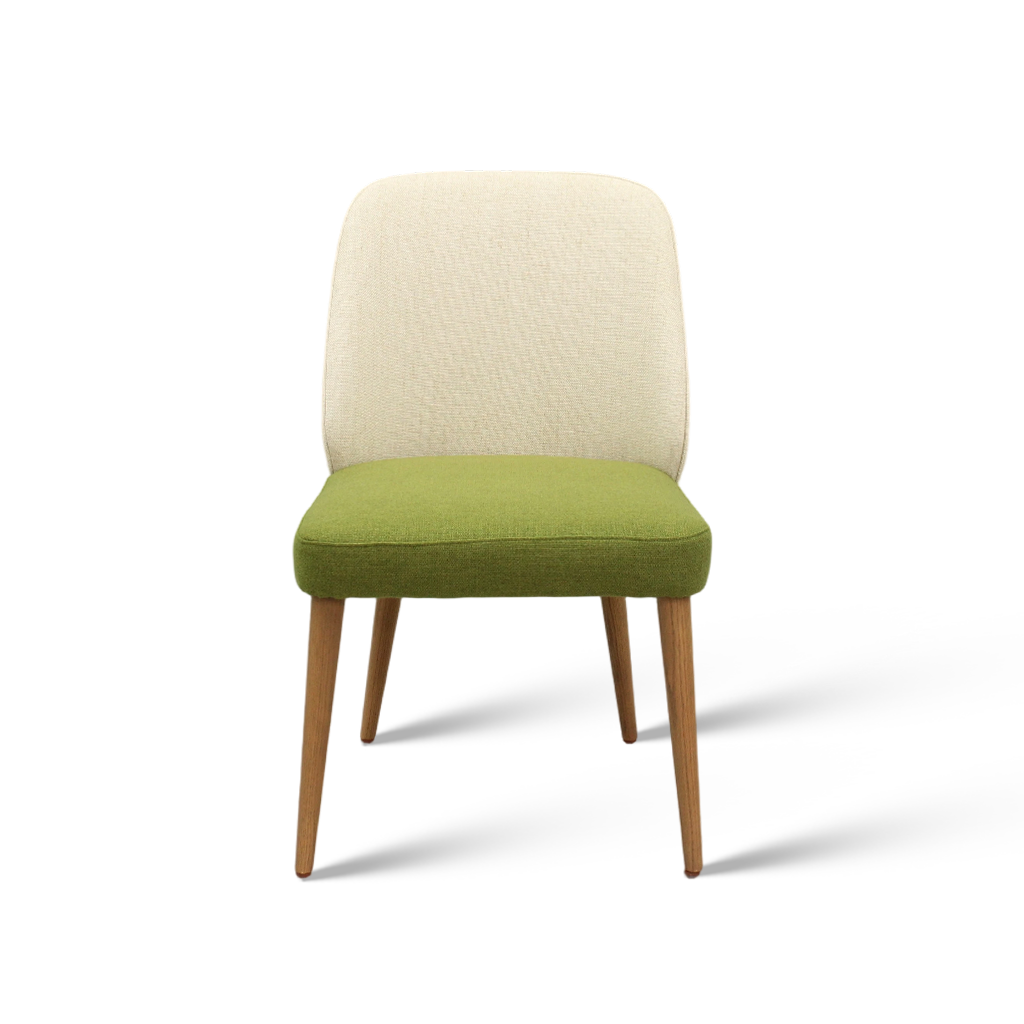 Modern Minimalist Creative Dining Chair